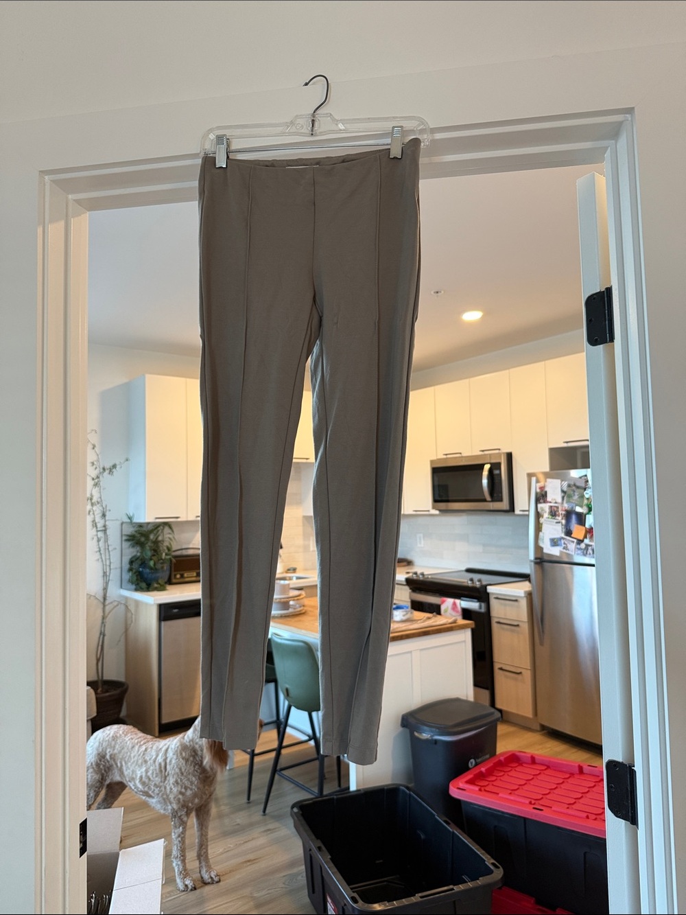 Rachel Zoe Neutral Taupe Stretch Pants